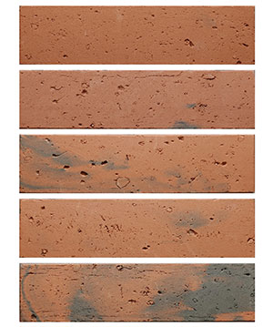 2022.5.16_10.21.35_8463