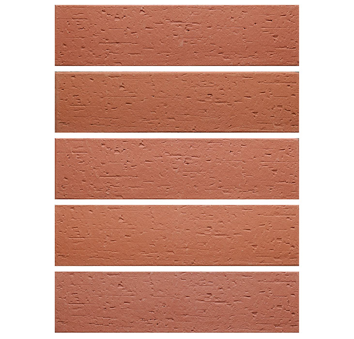 2022.5.16_9.19.41_1411