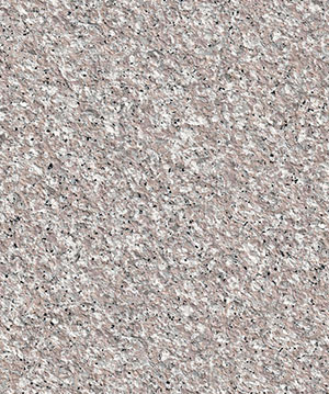 2022.6.15_15.3.17_4398