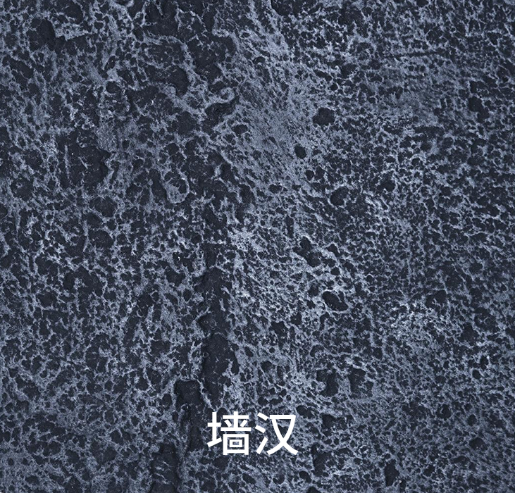 2024.6.29_11.17.39_2825