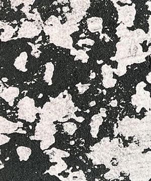 2025.1.14_15.10.39_8051