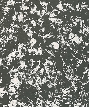 2025.1.14_15.15.43_5446