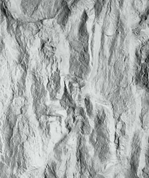 2025.4.14_16.46.34_2779