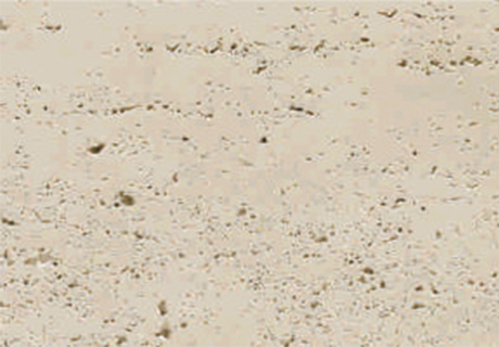 尊龙人生就是博·Z6「中国区」首页官网