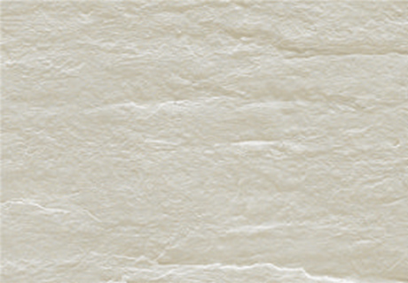 尊龙人生就是博·Z6「中国区」首页官网